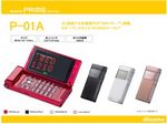 P-01A.jpg